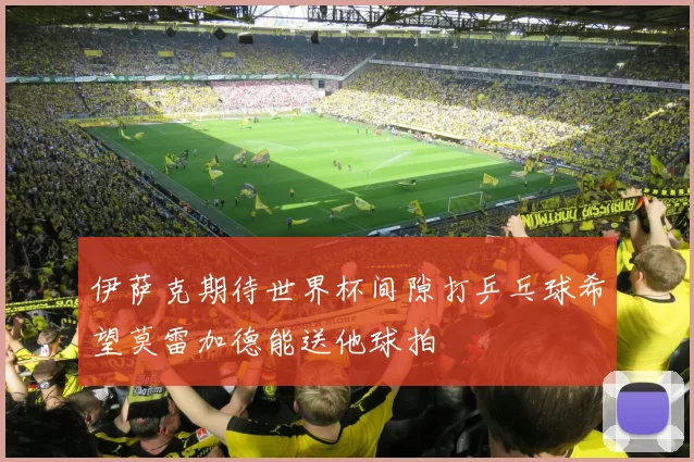 伊萨克期待世界杯间隙打乒乓球希望莫雷加德能送他球拍
