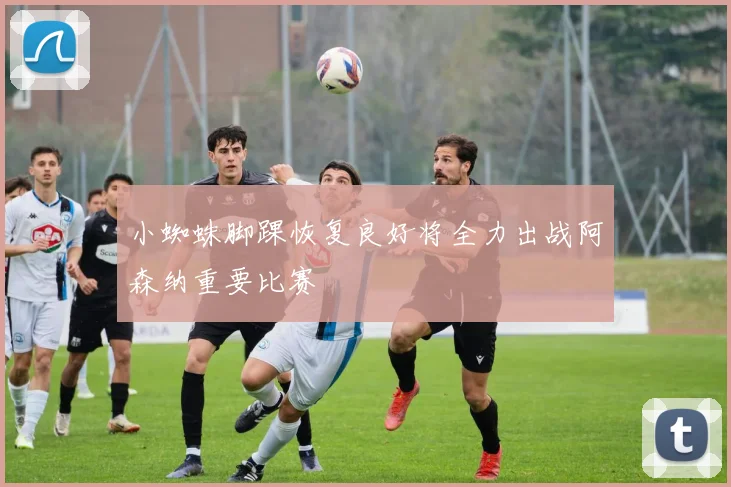 小蜘蛛脚踝恢复良好将全力出战阿森纳重要比赛