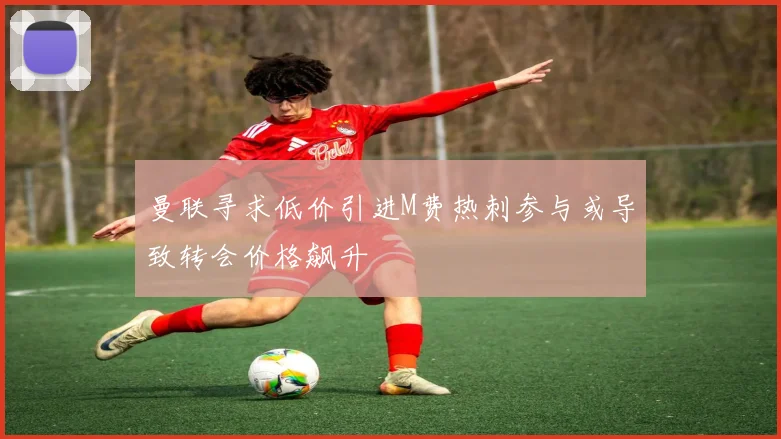 曼联寻求低价引进M费热刺参与或导致转会价格飙升