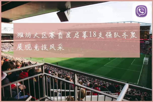 潍坊大区赛首度启幕18支强队齐聚展现竞技风采